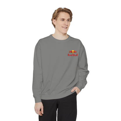 Red Bull Embroidered Sweatshirt